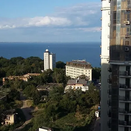 Arcadia Kadorr 8 *