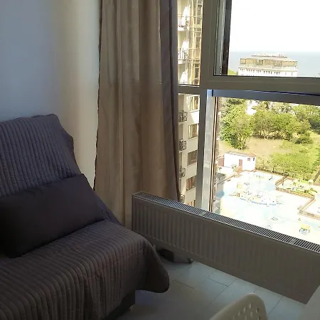 Arcadia Kadorr 8 Odessa